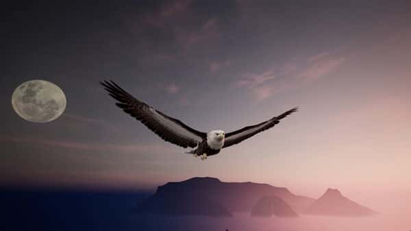 绝世好武功封面